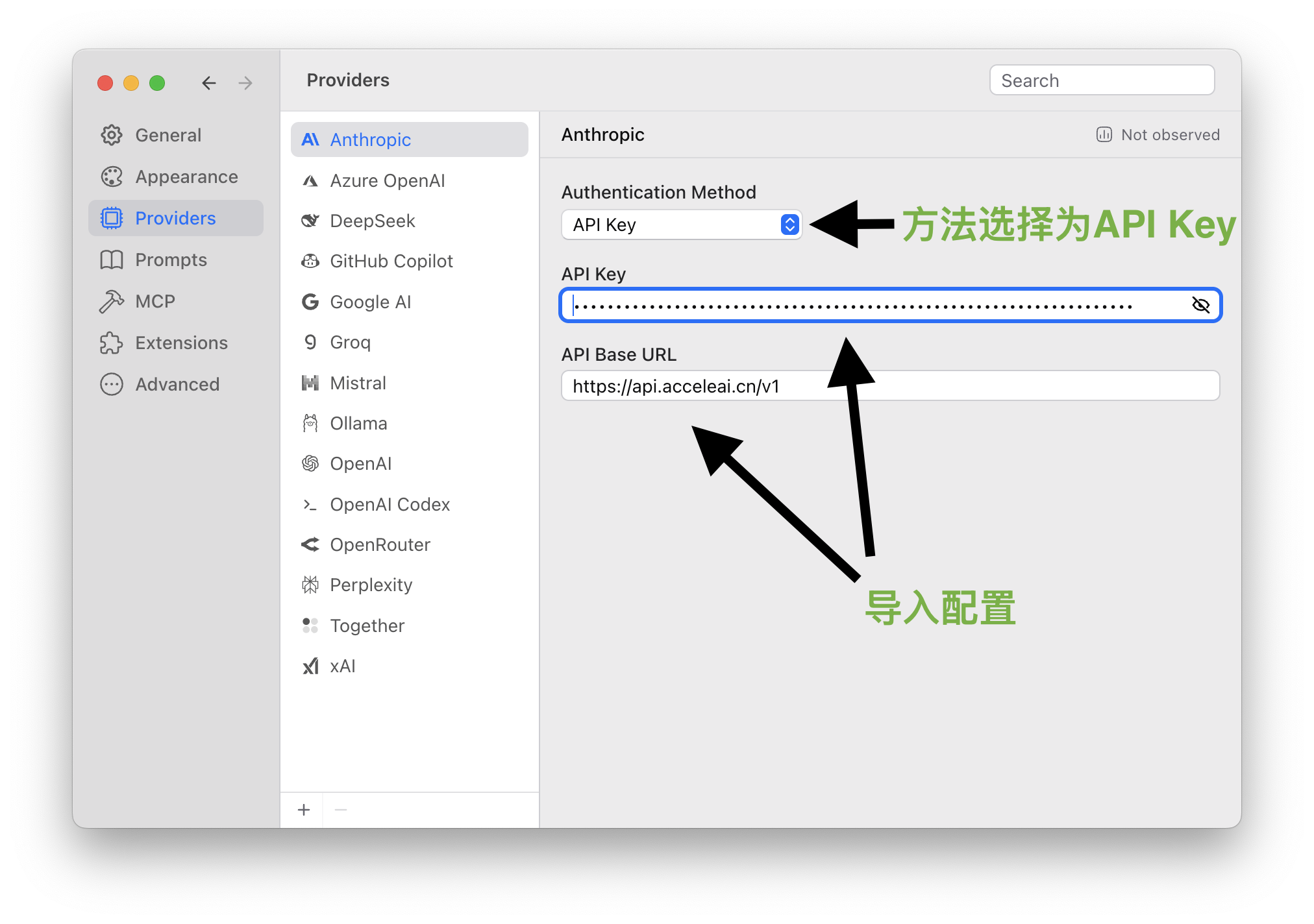 ChatWise 填写 Base URL 和 API Key