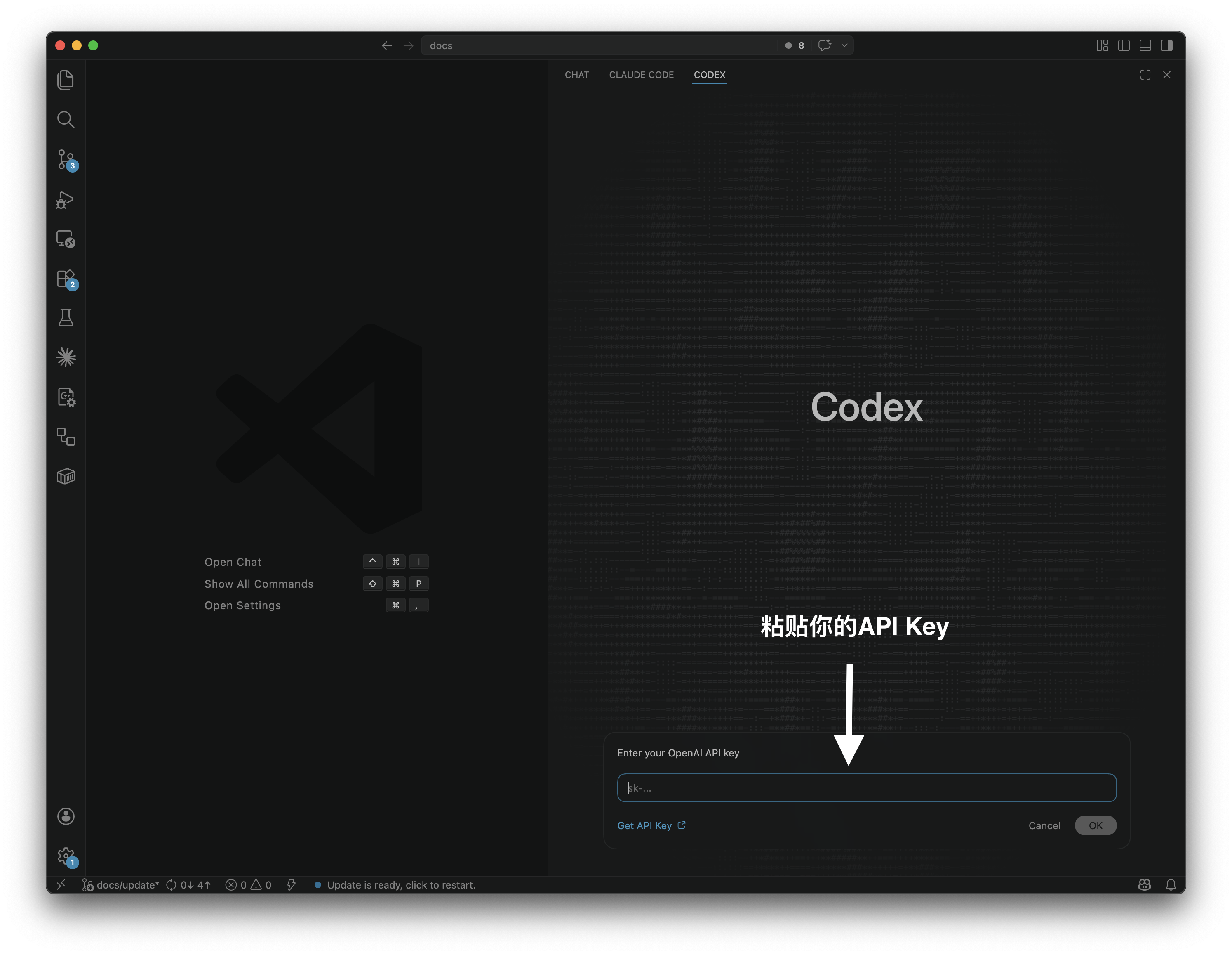 Codex API Key填写